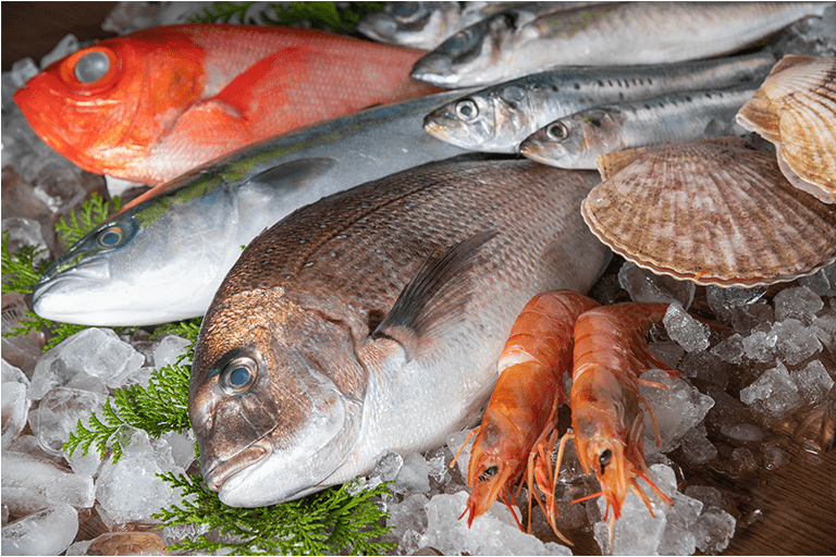 瀬戸内海で獲れた旬の魚たち