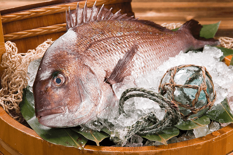 広島の回転寿司に行ったら食べておきたい寿司ネタ