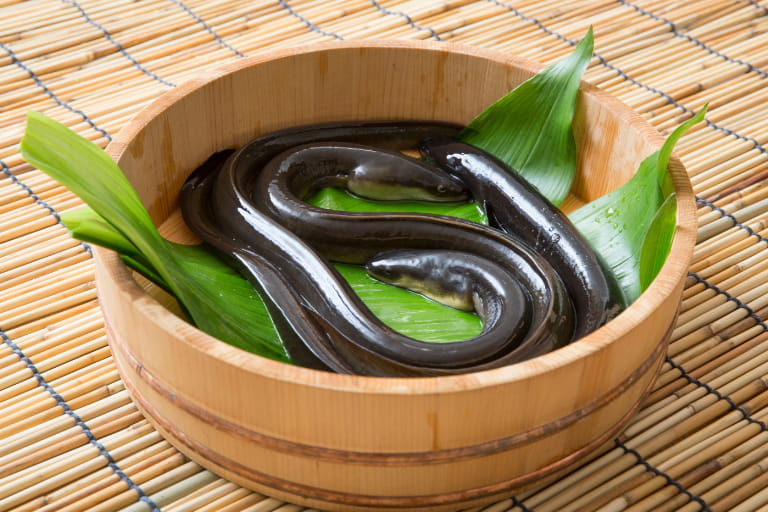 なぜ土用の丑の日にうなぎを食べるの?その由来について