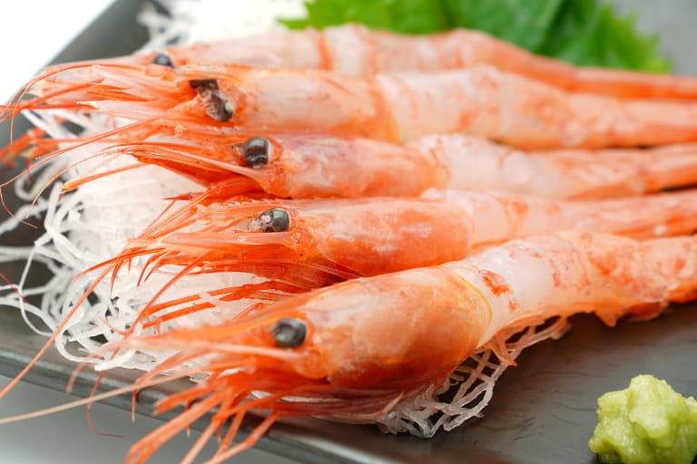 甘エビの刺身