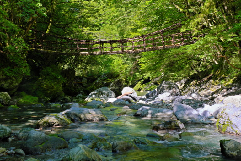 徳島県の奥祖谷二重かずら橋と祖谷渓の清流