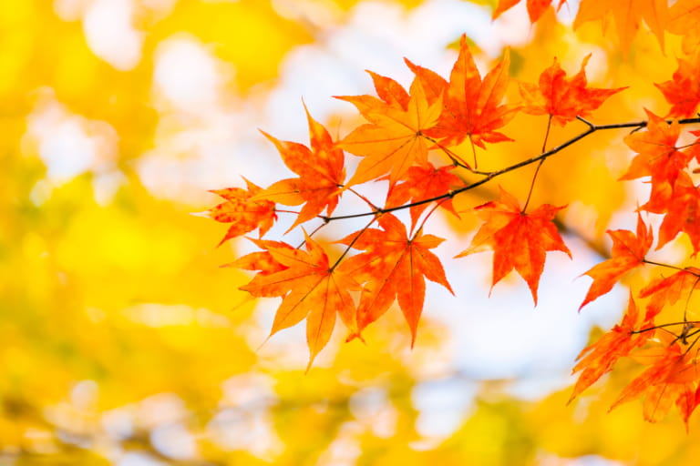 9月の連休におすすめの過ごし方とは
